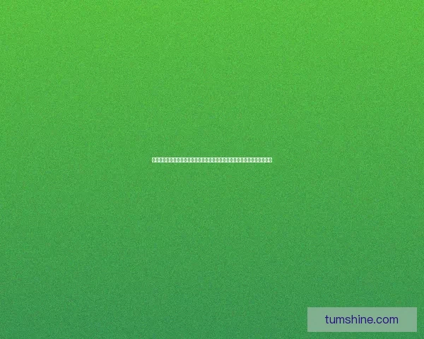 九阴真经中的武学奥秘与精妙配置解析：探寻内功心法与外功招式的完美结合